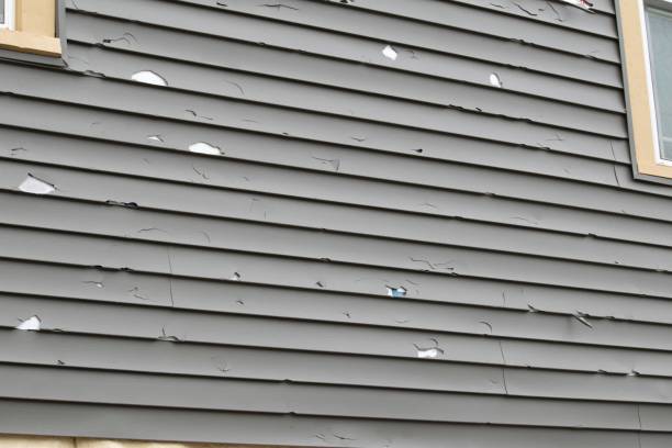 How To Choose The Right Materials for Your Siding Installation in 'Golden Meadow, LA